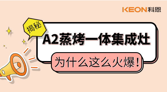揭秘！蒸烤一體集成灶為什么這么火爆！
